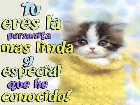 norma7976's tweet photo. http://t.co/xkANXWkhSp