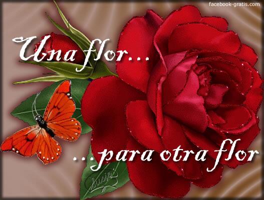 floreser_com tweet picture