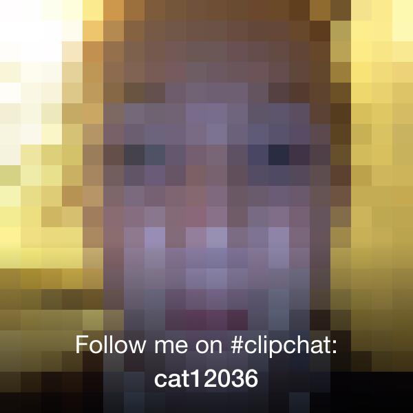 Clipchat's tweet photo. Cat needs some followers :) RT @ceryshu: Follow me on #clipchat: cat12036 (http://t.co/87WMukizQC) http://t.co/gsNtnAqlLH