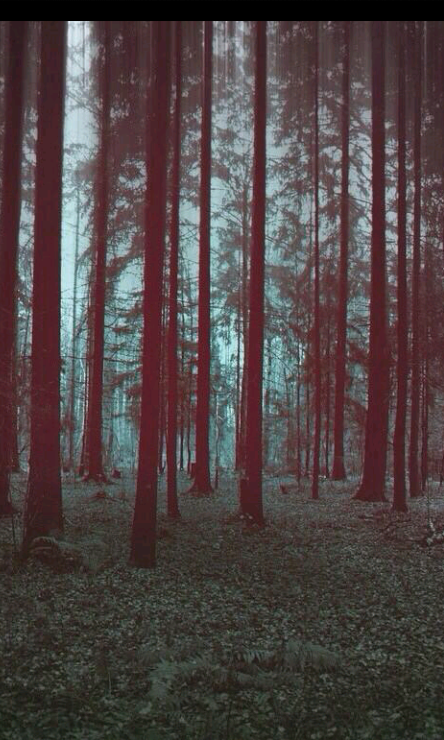 darktryp tweet picture