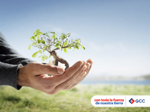 Grupo Cementos Chih tweet media