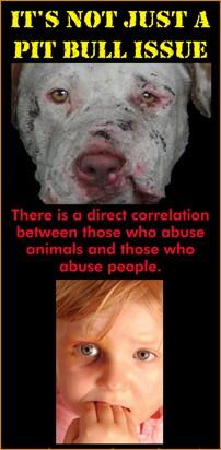 endcruelty's tweet photo. http://t.co/4sJZS2S6dX