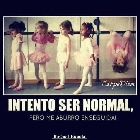 Alejandra Gonzalez tweet media