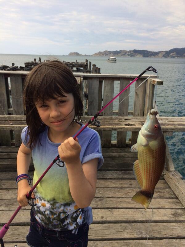 modsta's tweet image. Sierra christens her new rod at Tokomaru Bay. And a gurnard gives it&apos;s all. #eastcoastrocks