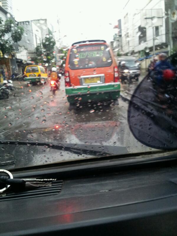 brahmantia muda tweet media