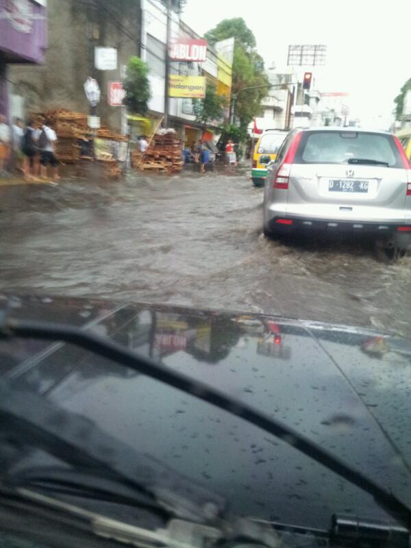 brahmantia muda tweet media