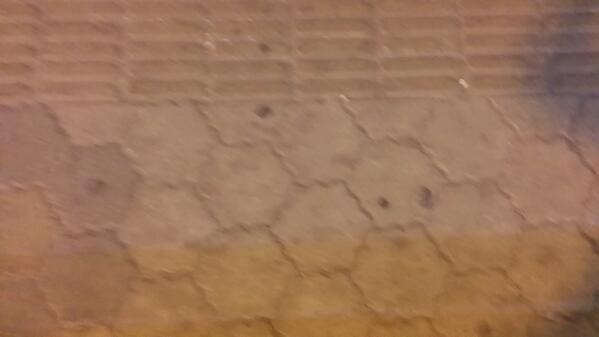 어제 녹화끝나고 길을걷는데 보도블럭이 ㅡㅡ
캔티크러쉬 중독자들만 공감하는 사진.