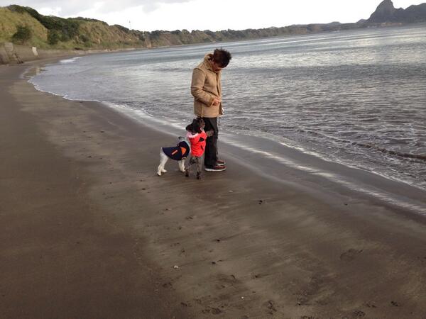 chan_koara's tweet photo. 指宿の海💕
満ち潮で 浜が無くなるんだって〜
風が強い😱
カレンは お父さん抱っこして〜（笑） http://t.co/O7rxCT8ou4