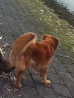 Yannickkees's tweet photo. ik mis je sora ;( http://t.co/t0AE3brZry