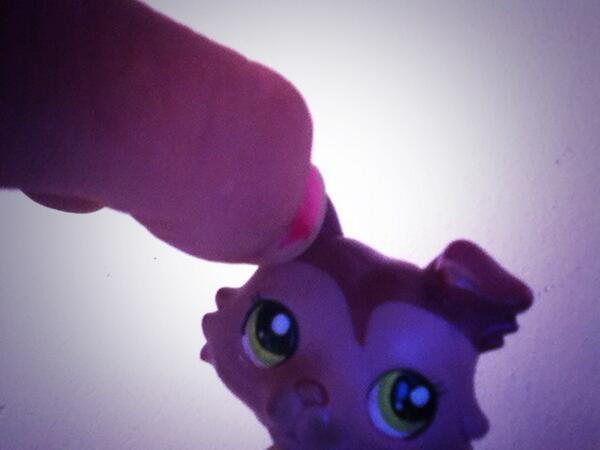 lps_harry's tweet photo. so i put my front camera on http://t.co/CDujE84Dbv