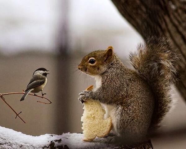 On attaque par un bon petit déjeuner...