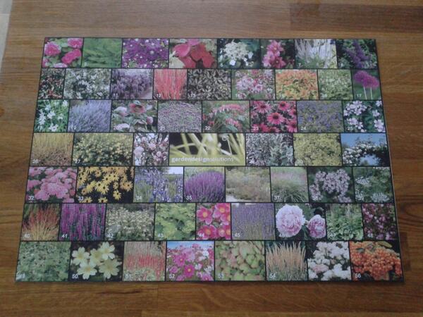 Just preparing for a presentation this afternoon!Pleased with picture board! #garden #design #Cambridgeshire