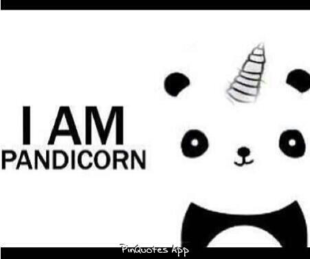 PoOeyBlued's tweet image. Haha! Thank you babbott for the #pandicorn @eliblued