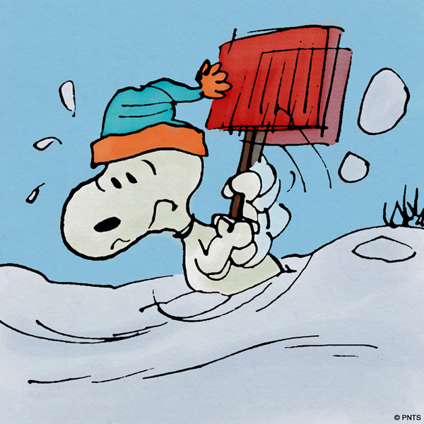 PEANUTS tweet media