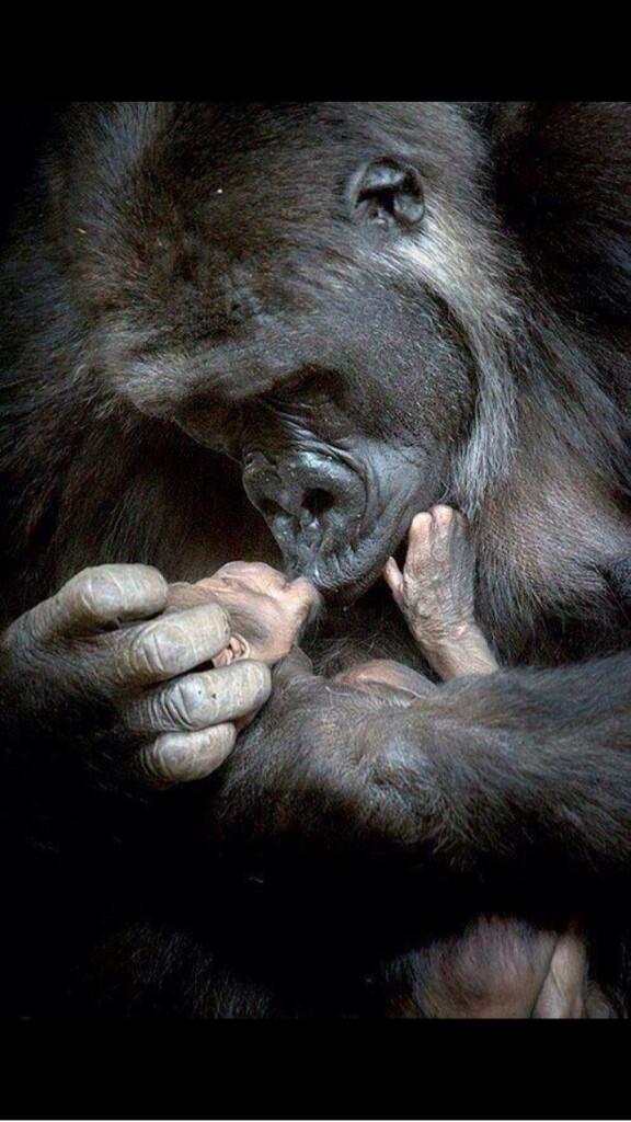 ConsueloDuval's tweet photo. #ABRAZAMASYCHINGAMENOS http://t.co/sJLp7QFQDT