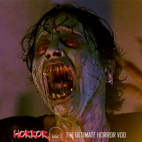 Horror Inc tweet media
