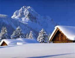 Clipchat's tweet photo. Clipchatters! We're definitely in the depths of winter right now! Share clips of your snowy backdrop! http://t.co/AZJAleyhOw