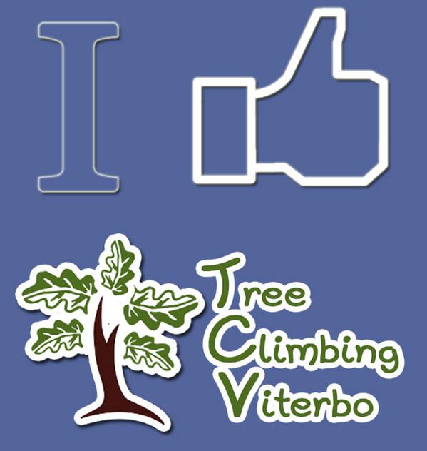 TreeClimbingVT's tweet image. Cercaci su facebook e metti mi piace