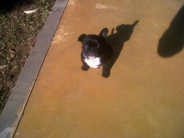 SamuAlmazan's tweet photo. Futura makina de matar jejeje http://t.co/fu0ssGko7F