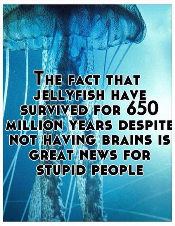 Stupid people... Great news!