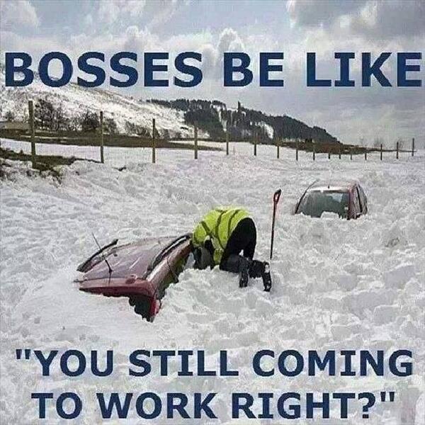 Nice.. #boss #shittyboss #wintersucks #winterisalmostover