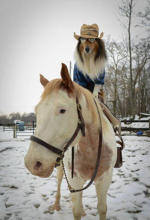 JacobHoggard's tweet photo. and now for something we can all enjoy http://t.co/VYkj3I5x44