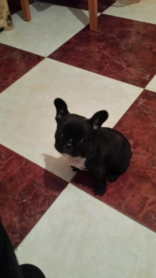 lorepiinto's tweet photo. Mi pequeño @SamuAlmazan http://t.co/30SG7xeVTX