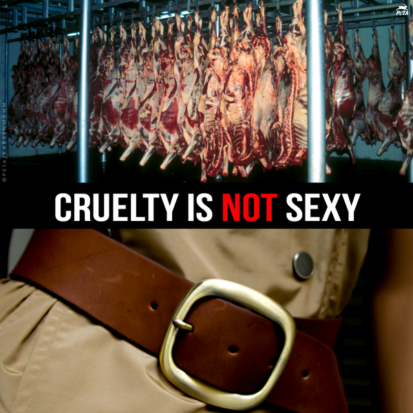 lambskin leather peta