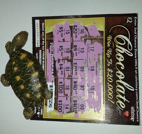thewaxproject's tweet photo. @calottery i need more cash for cooking lessons on how to properly make chocolate turtles! #IDeserveChocolate http://t.co/5U42ucbXHX