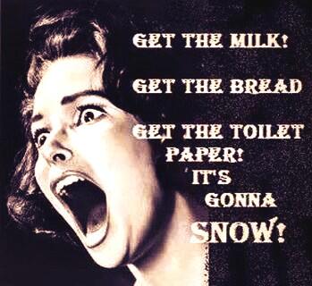 ebziser's tweet image. Sums up what this last week has been like in Nashville. One flake in the air and it's over. #overreactmuch #simmer