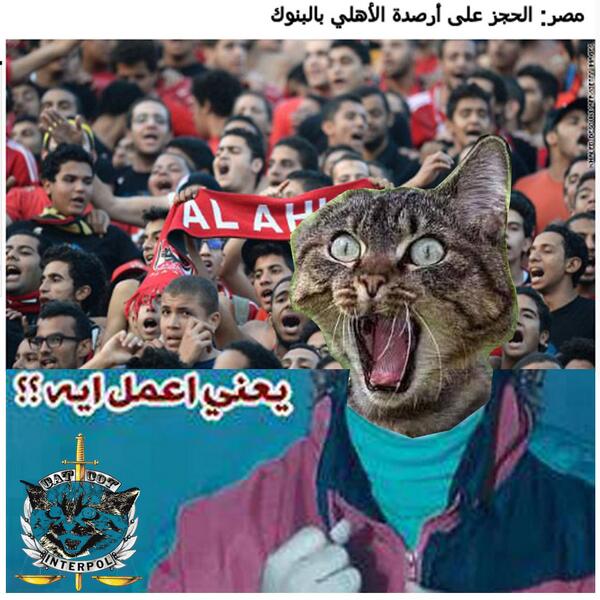 catspolicy tweet picture