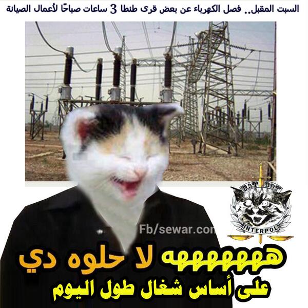 catspolicy tweet picture