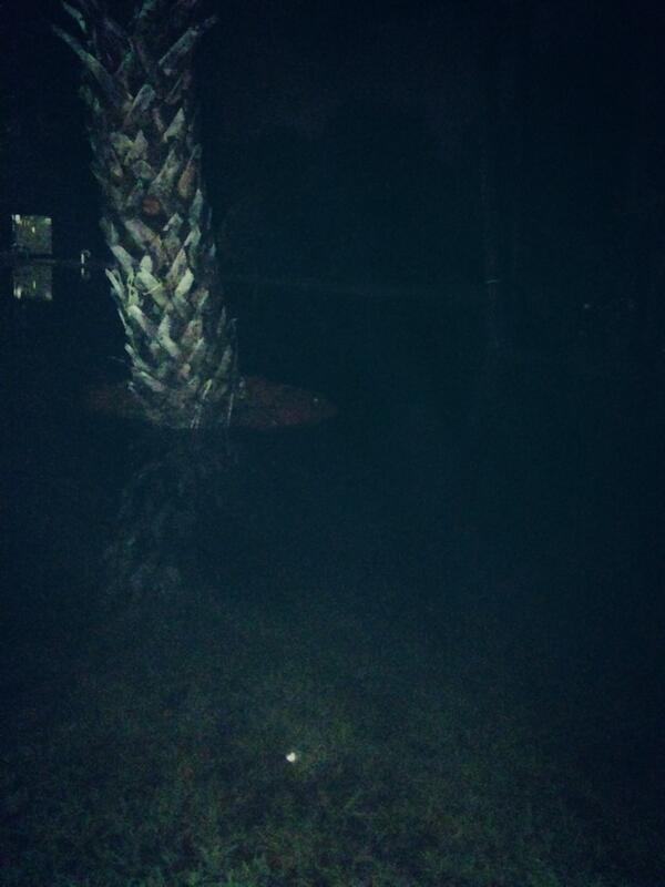 MaroneyTyler's tweet image. Welcome to south florida #floaded