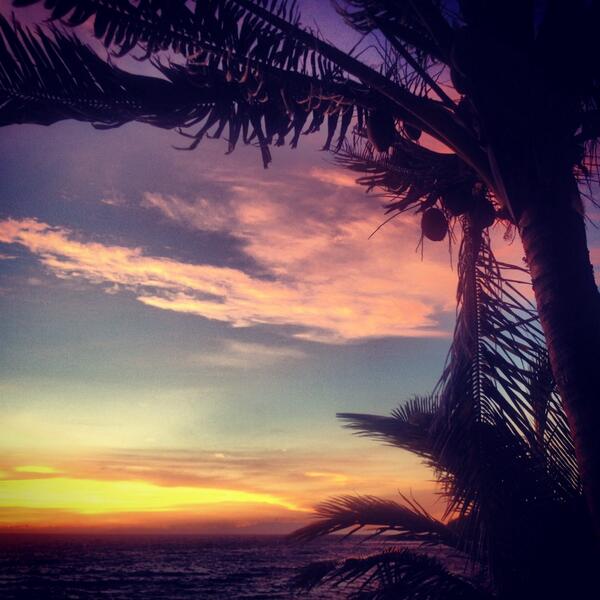 Simps_Laura's tweet photo. Dragged my ass up at 5.30 outta ma mosquito net.... To see this http://t.co/uYX6Gh8l0g