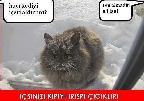 seckineroll's tweet photo. :)) http://t.co/q2qwF8w8Py