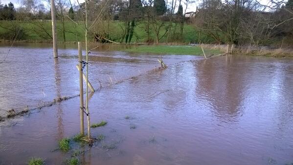 Will most likely be closed for January to address the slight increase in water.