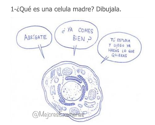 MejoresExamenes's tweet photo. ¿QUÉ ES UNA CELULA MADRE? http://t.co/IA98PRDeEX