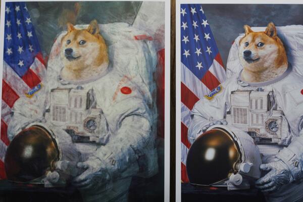TeenDoge's tweet photo. Small step for Doge, a giant leap for Dogekind. #TeenDoge #RT if u luv doge

http://t.co/IpIgT3CLOX http://t.co/Qpw9sdtMKb