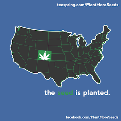 Plant More Seeds tweet media