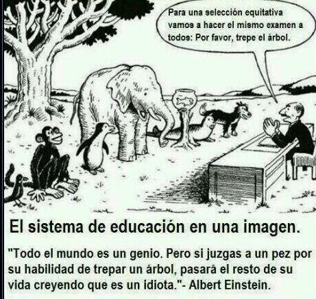Farmaenfurecida's tweet photo. Y ésta es la razón por la cual sacar notas altas no es sinónimo de ser más inteligente: http://t.co/m2oYe8YiNd