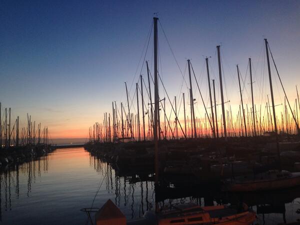 Jeffrey Yee tweet media