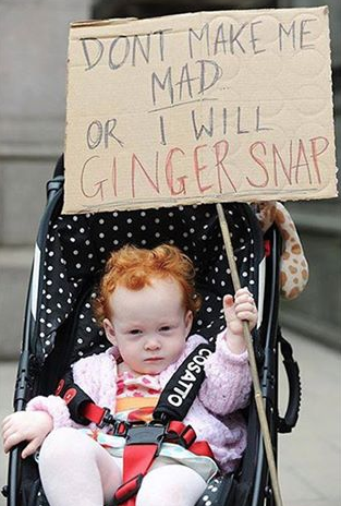 GingerProblems's tweet photo. Happy Friday! Don't make a ginger snap. http://t.co/VHJYIQ4LXr
