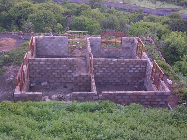 junior mancinza tweet media