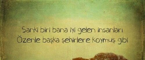 BOĞA, KOÇ, YENGEÇ, İKİZLER