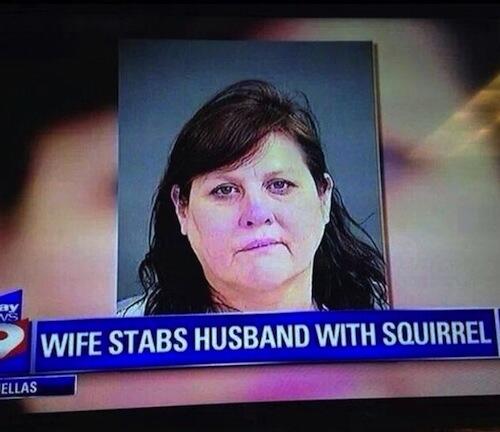 KSUsquirrel's tweet photo. "@CollegeHumor: Seriously nuts. http://t.co/7mwSEu4Kkk" oh the humanity!
