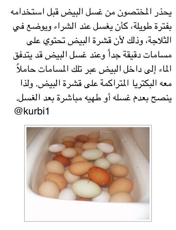 EH3H's tweet photo. هل ينبغي غسل البيض عند شرائه ووضعه في الثلاجة ليطهى لاحقاً؟

عبر: @Kurbi1 
. http://t.co/rn1ff4Gx3m