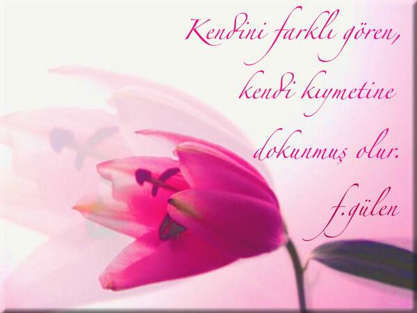 Dr. Kudret (@drkudret) on Twitter photo 