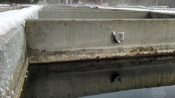 iowadnr's tweet photo. It was -22' at the Decorah hatchery when this #trout jumped &amp; stuck to the aluminum baffle. Now that's cold. #Iowa http://t.co/USF7cWQroK