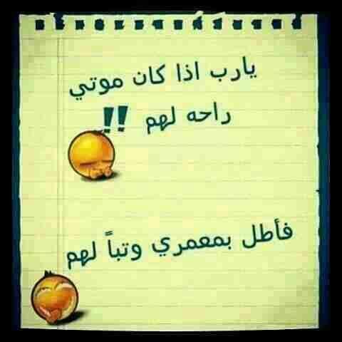 MayarMayar32 tweet picture