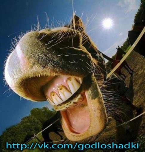 godloshadi's tweet photo. #godloshadi #stihiru #stihi http://t.co/W5W4B7M8tR